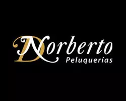 AnyConv.com__norberto-peluquerias-logo